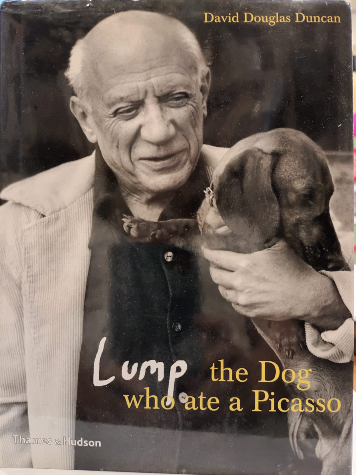Lump the dog who ate a Picasso